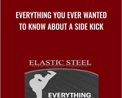 Everything You Ever Wanted To Know About A Side Kick » esyGB Fun-Courses