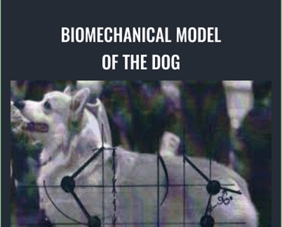 Evgenij Yerusalimsky BioMechanical Model of the Dog » esyGB Fun-Courses