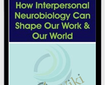 How Interpersonal Neurobiology Can Help Shape our Work and our World » esyGB Fun-Courses