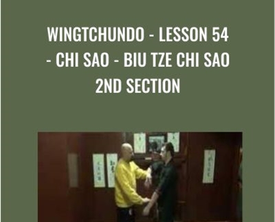 WingTchunDo Lesson 54 Chi Sao Biu Tze Chi Sao 2nd Section » esyGB Fun-Courses