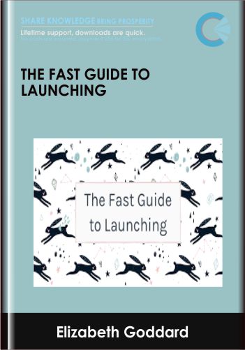 The Fast Guide to Launching - Elizabeth Goddard