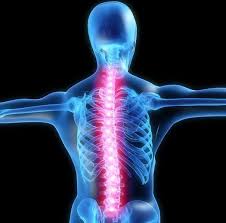 Spiritually Clear, Heal, & Open Your Nervous System & Spine  - Michael Davis Golzmane