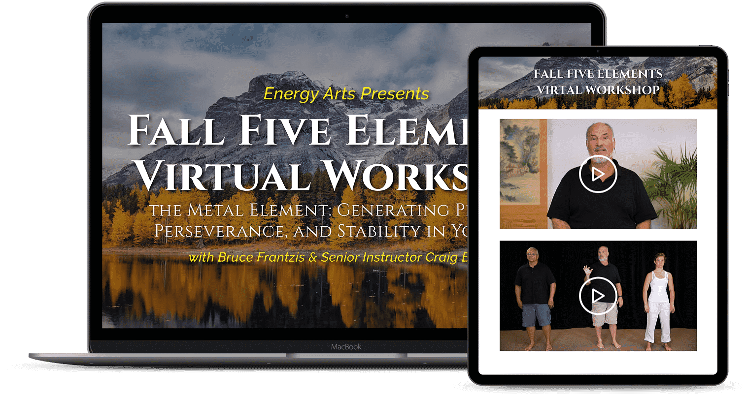 Five Elements Virtual Workshop: The Metal Element - Bruce Frantzis