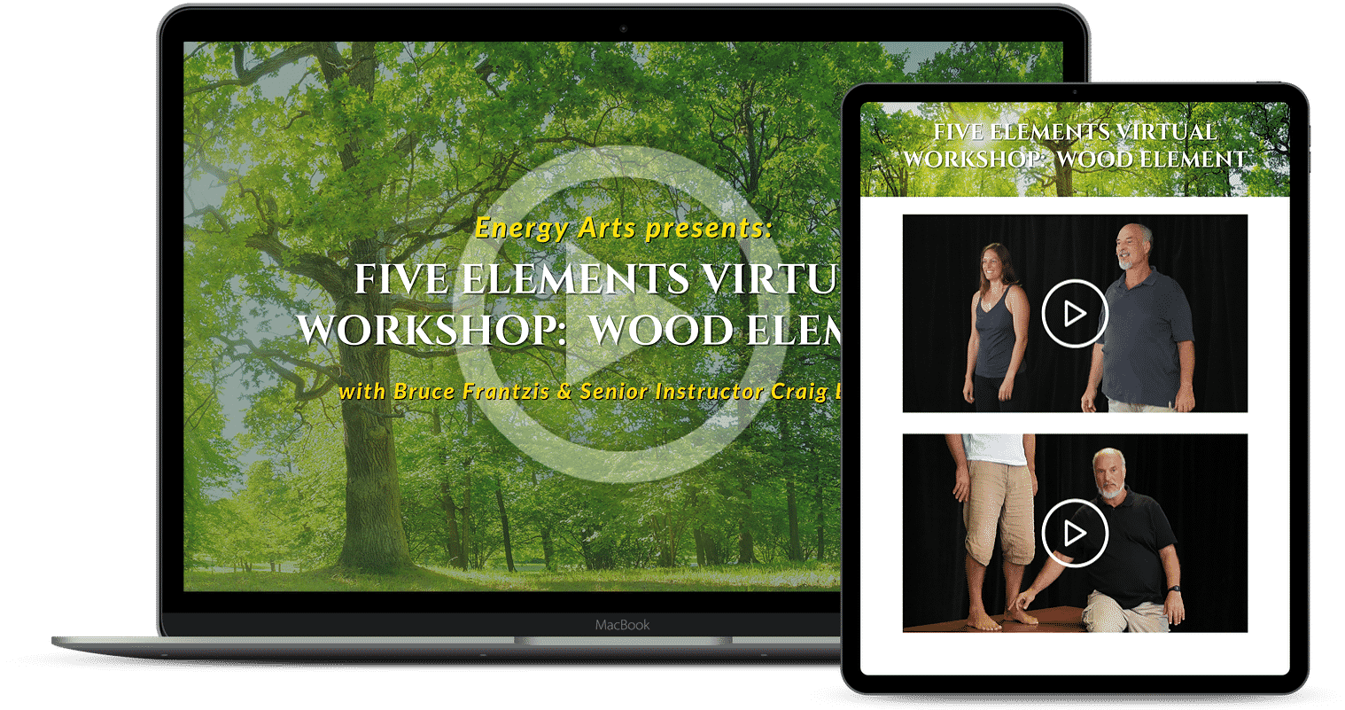 Five Elements Virtual Workshop: Wood Element - Bruce Frantzis