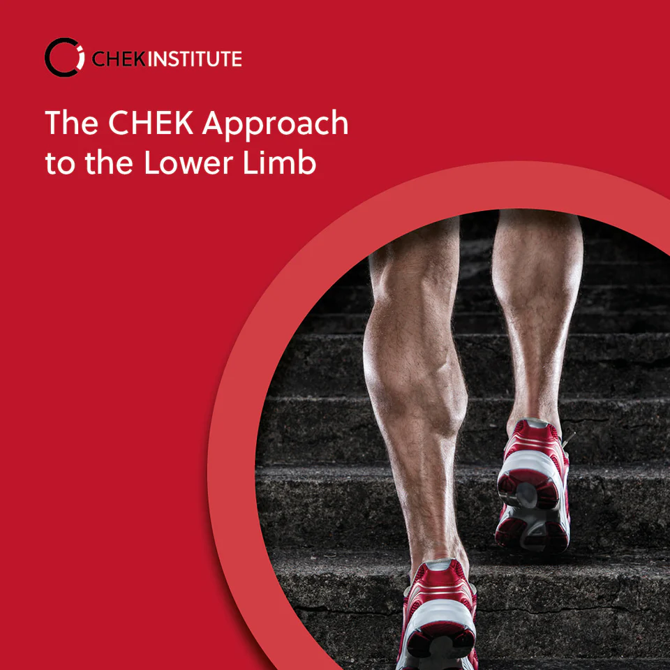 The CHEK Approach to the Lower Limb - Matthew Wallden