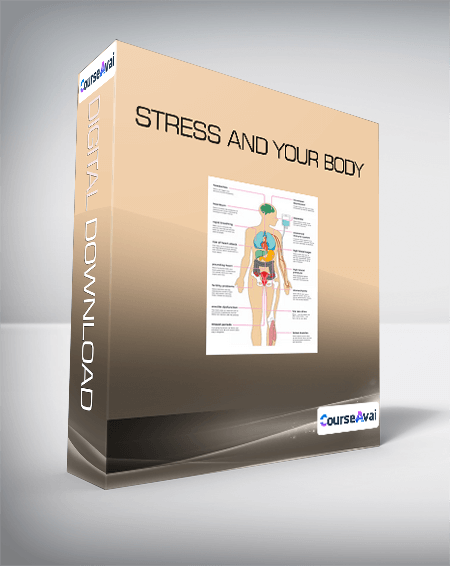 Stress and Your Body