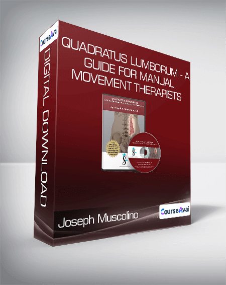 Joseph Muscolino Quadratus Lumborum A Guide For Manual And Movement Therapists Esy Gb