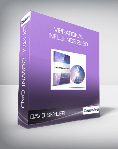 David Snyder - Vibrational Influence 2020