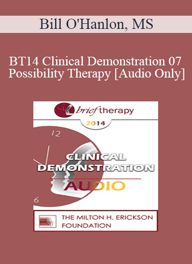 [Audio] BT14 Clinical Demonstration 07 - Possibility Therapy - Bill O'Hanlon