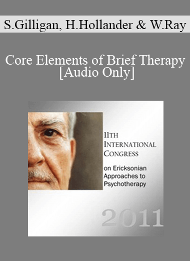 [Audio] IC11 Dialogue 04 - Core Elements of Brief Therapy - Stephen Gilligan