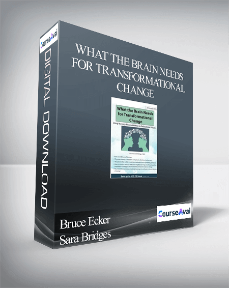 What the Brain Needs for Transformational Change: Using Memory Reconsolidation in Daily Clinical Practice - Bruce Ecker & Sara Bridges