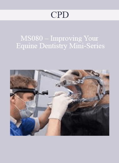 CPD - MS080 – Improving Your Equine Dentistry Mini-Series