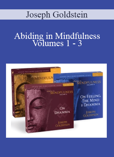 Joseph Goldstein - Abiding in Mindfulness Volumes 1 - 3