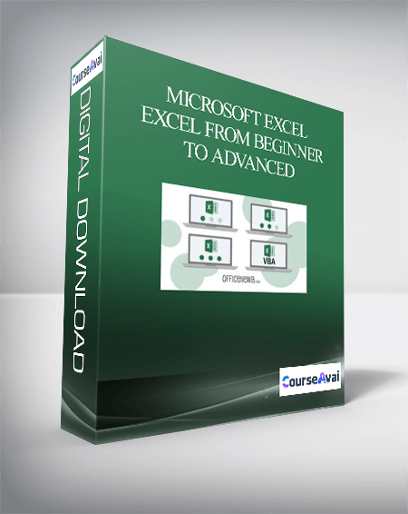 Microsoft Excel - Excel from Beginner to Advanced