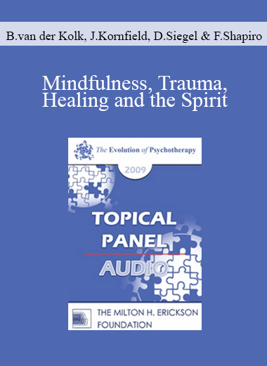 [Audio] EP09 Topical Panel 08 - Mindfulness