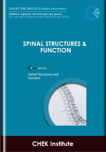 CHEK Institute  -  Spinal Structures & Function