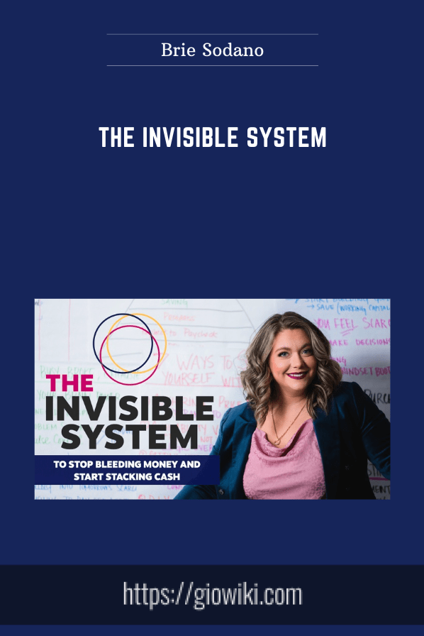 The Invisible System  -  Brie Sodano