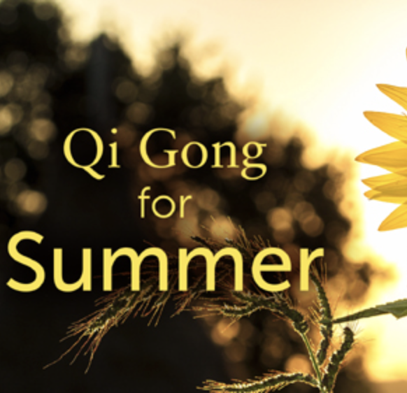Qi Gong for Summer Workshop - Lee Holden