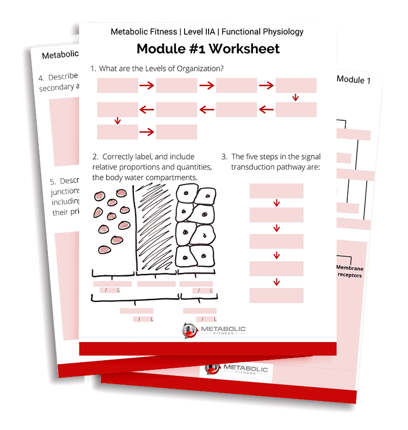 2jg1yqutmdi3yjewq1nq leveliiaworksheets | eSy[GB]