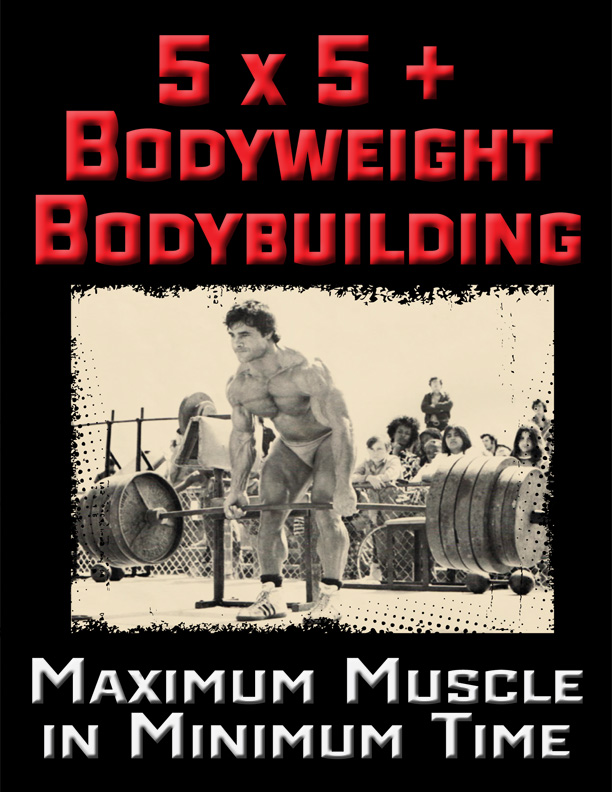 /></a></p><p><strong>5 X 5 + Bodyweight Bodybuilding ($97 Value)</strong> — <strong>For the meatheads out there who can’t let go of the barbell or want to add barbell work AFTER finishing Bodyweight Bodybuilding, this is for you.</strong></p><p><strong>In this Bonus course you’ll get the following:</strong></p><ul><li>8 Week Training Cycle of 5 X 5 + Bodyweight Bodybuilding Workouts</li><li>15 Barbell Lifts to Choose From</li><li>Program Design Strategies for 5 X 5 Coupled with Bodyweight Bodybuilding</li></ul></div><h2>As you can clearly see, I’ve gone through the pain & suffering so YOU don’t have to.</h2><p><strong>I’ve done ALL the leg work, researching and experimenting on myself and my athletes, finding the best of the best, getting them to reveal their most closely guarded secrets and compiling EVERYTHING together into One Complete System, valued at $345….</strong></p><p>Not to mention the physical & emotional pain you’ll be saving yourself from, which we simply can NOT put a price value on. Your Health is PRICELESS.</p><p><strong>Now is your opportunity to snag The Entire ‘Bodyweight Bodybuilding’ course for a fraction of what it’s worth for a one time payment of $47….</strong></p><p><a href=