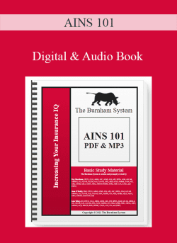 AINS 101 Digital Audio Book 250x343 1 | eSy[GB]