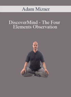 Adam Mizner DiscoverMind The Four Elements Observation 250x343 1 | eSy[GB]