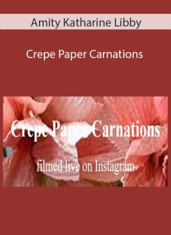 Amity Katharine Libby Crepe Paper Carnations 250x343 1 | eSy[GB]