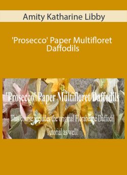 Amity Katharine Libby Prosecco Paper Multifloret Daffodils 250x343 1 | eSy[GB]