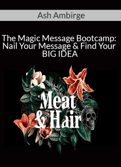 Ash Ambirge The Magic Message Bootcamp Nail Your Message Find Your BIG IDEA 250x343 1 | eSy[GB]