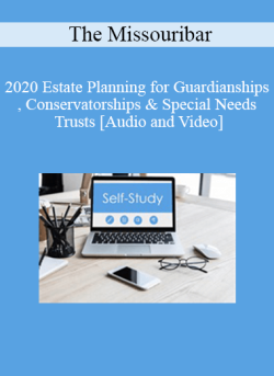 Audio and Video 2020 Estate Planning for Guardianships Conservatorships Special Needs Trusts 250x343 1 | eSy[GB]