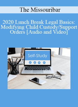 Audio and Video 2020 Lunch Break Legal Basics Modifying Child CustodySupport Orders 250x343 1 | eSy[GB]