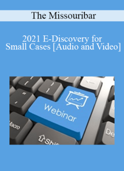 Audio and Video 2021 E Discovery for Small Cases 250x343 1 | eSy[GB]