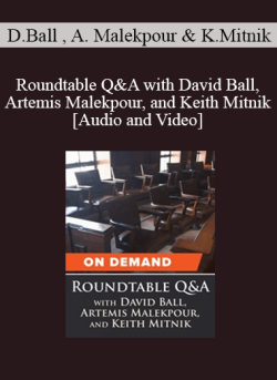 Audio and Video Roundtable QA with David Ball Artemis Malekpour and Keith Mitnik 250x343 1 | eSy[GB]