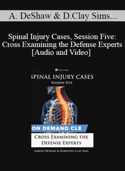 Audio and Video Spinal Injury Cases Session Five Cross Examining the Defense Experts 250x343 1 | eSy[GB]