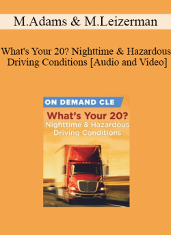 Audio and Video Whats Your 20 Nighttime Hazardous Driving Conditions 250x343 1 | eSy[GB]