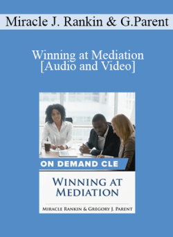 Audio and Video Winning at Mediation 250x343 1 | eSy[GB]