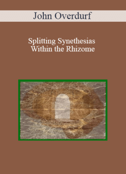 John Overdurf Splitting Synethesias Within the Rhizome 250x343 1 | eSy[GB]