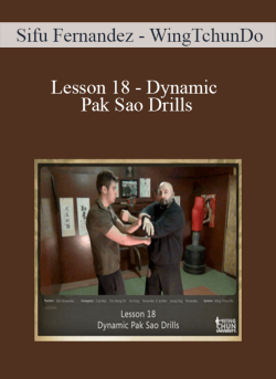 Sifu Fernandez WingTchunDo Lesson 18 Dynamic Pak Sao Drills 250x343 1 | eSy[GB]