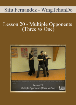 Sifu Fernandez WingTchunDo Lesson 20 Multiple Opponents Three vs One 250x343 1 | eSy[GB]