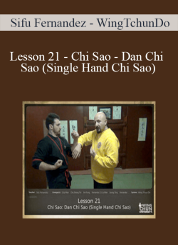 Sifu Fernandez WingTchunDo Lesson 21 Chi Sao Dan Chi Sao Single Hand Chi Sao 250x343 1 | eSy[GB]