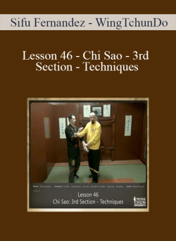 Sifu Fernandez WingTchunDo Lesson 46 Chi Sao 3rd Section Techniques 250x343 1 | eSy[GB]