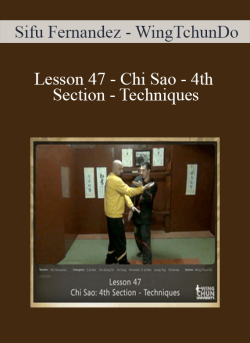 Sifu Fernandez WingTchunDo Lesson 47 Chi Sao 4th Section Techniques 250x343 1 | eSy[GB]