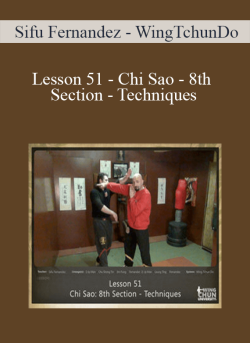 Sifu Fernandez WingTchunDo Lesson 51 Chi Sao 8th Section Techniques 250x343 1 | eSy[GB]