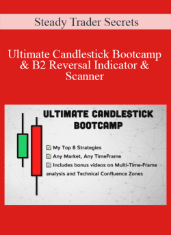 Steady Trader Secrets Ultimate Candlestick Bootcamp B2 Reversal Indicator Scanner 250x343 1 | eSy[GB]