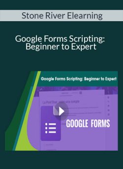 Stone River Elearning Google Forms Scripting Beginner to Expert 250x343 1 | eSy[GB]
