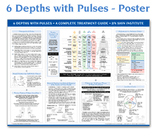 Jin Shin Institute 6 Depths with Pulses Treatment Guide