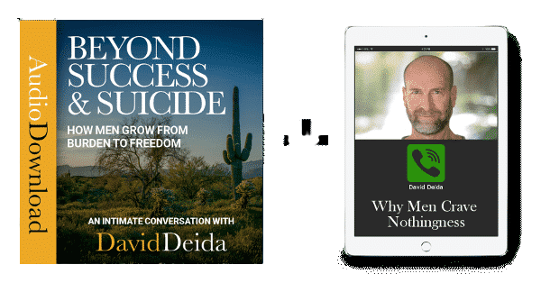 David Deida - Beyond Success and Suicide Package