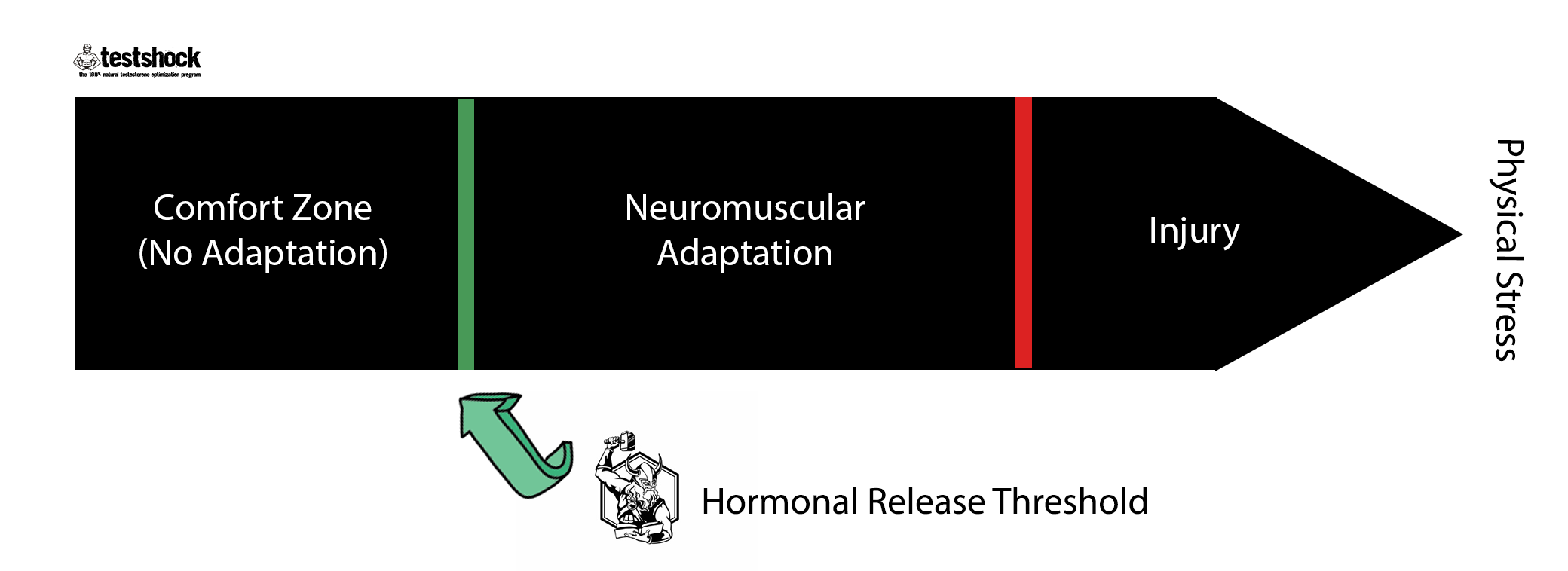 thorarrowchart | eSy[GB]