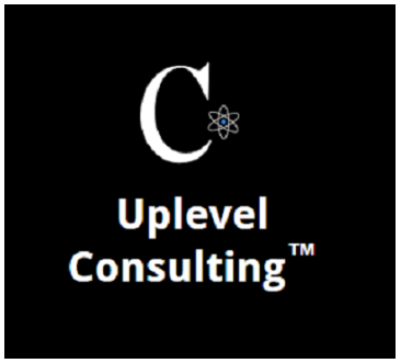 Uplevel Consulting - Sam Ovens